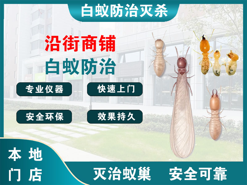 溧水沿街商铺白蚁防治