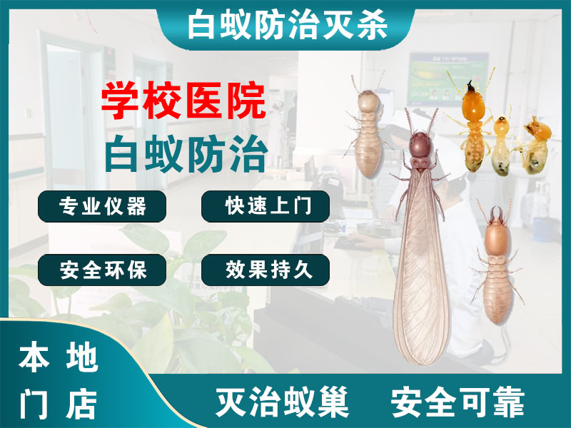 溧水学校医院白蚁防治
