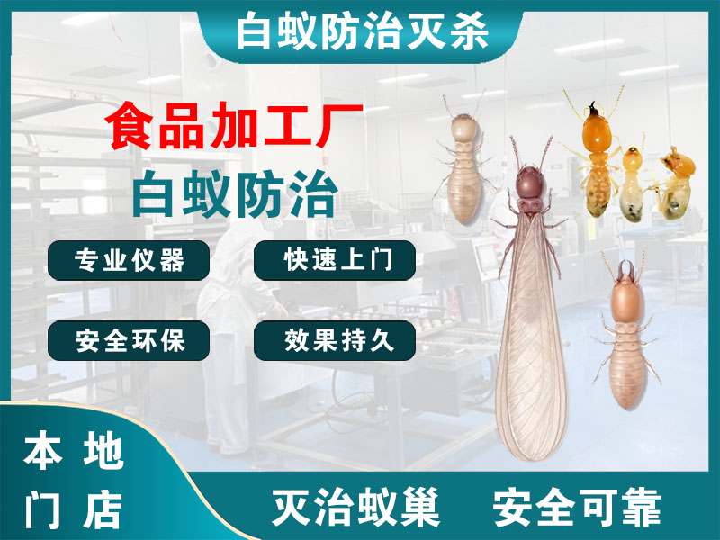 溧水食品加工厂白蚁防治