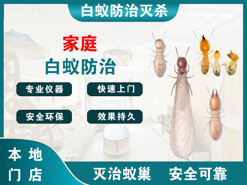 溧水家庭白蚁防治