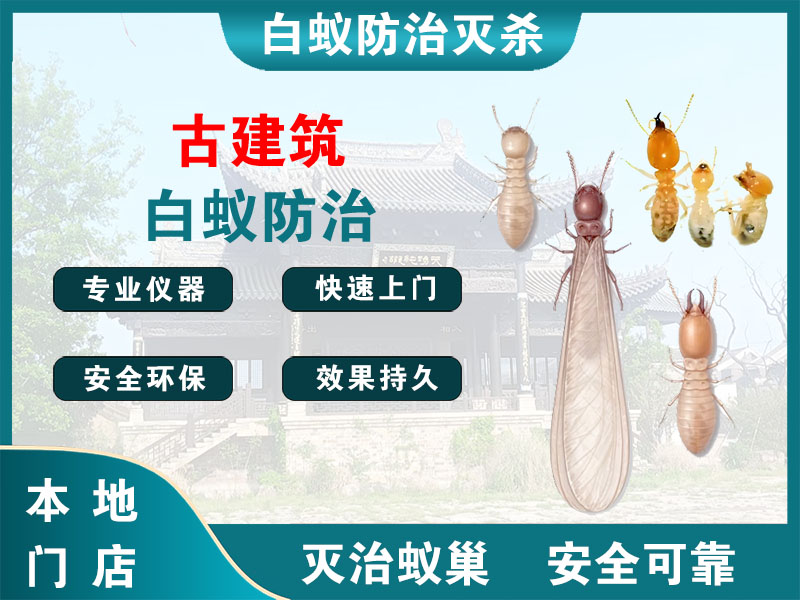 溧水古建筑白蚁防治