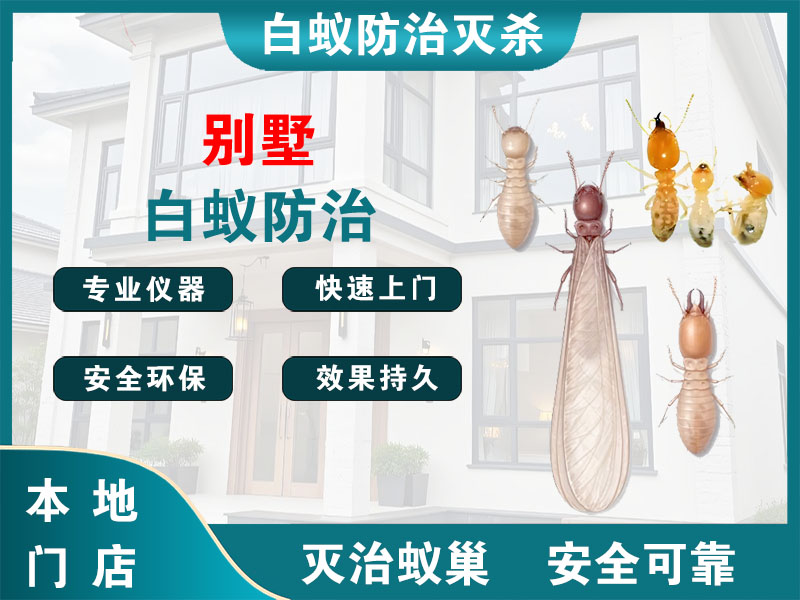 溧水别墅白蚁防治