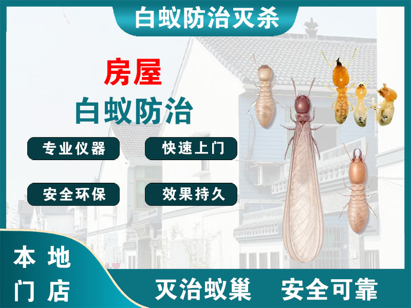 溧水房屋白蚁防治